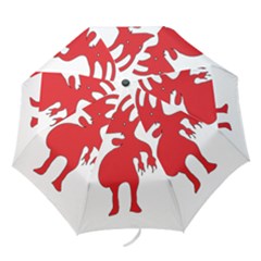 Grotesque Red Creature  Folding Umbrellas by dflcprints