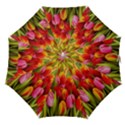 Colorful Tulips Painting Straight Umbrellas View1