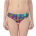 Colorful cats Hipster Bikini Bottoms View1