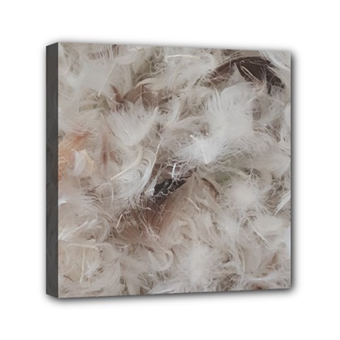 Down Comforter Feathers Goose Duck Feather Photography Mini Canvas 6  X 6  by yoursparklingshop