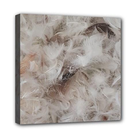 Down Comforter Feathers Goose Duck Feather Photography Mini Canvas 8  X 8  by yoursparklingshop