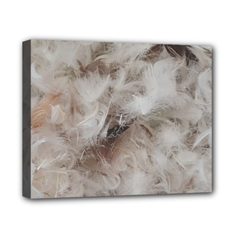 Down Comforter Feathers Goose Duck Feather Photography Canvas 10  X 8  by yoursparklingshop