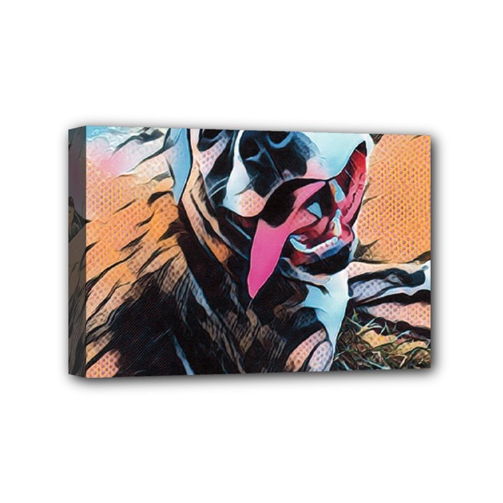 Img 20161203 0001 Mini Canvas 6  x 4 