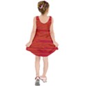 BIOGRAPHY Kids  Sleeveless Dress View2