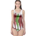 Mackerel military 2 One Piece Swimsuit View1