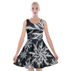 Snowflake In Feather Look, Black And White Velvet Skater Dress