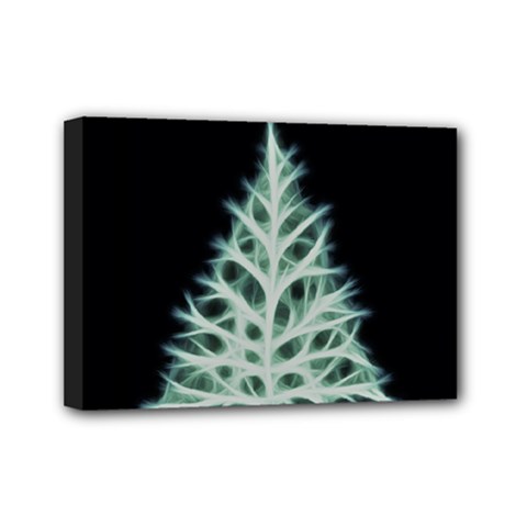 Christmas Fir, Green And Black Color Mini Canvas 7  X 5  by picsaspassion