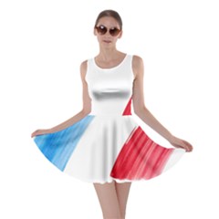 Tricolor Banner France Skater Dress by picsaspassion