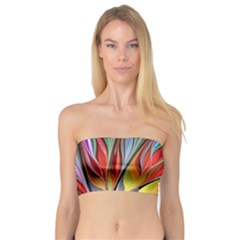 Fractal Bird Of Paradise Bandeau Top by WolfepawFractals