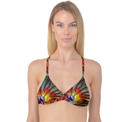 Fractal Bird Of Paradise Reversible Tri Bikini Top by WolfepawFractals