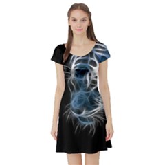 Ghost Tiger Short Sleeve Skater Dress by Brittlevirginclothing