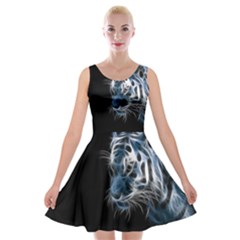 Ghost Tiger Velvet Skater Dress by Brittlevirginclothing