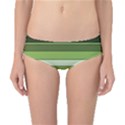 Greenery Stripes Pattern Horizontal Stripe Shades Of Spring Green Classic Bikini Bottoms View1