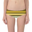 Elegant Shades of Primrose Yellow Brown Orange Stripes Pattern Classic Bikini Bottoms View1