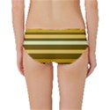 Elegant Shades of Primrose Yellow Brown Orange Stripes Pattern Classic Bikini Bottoms View2