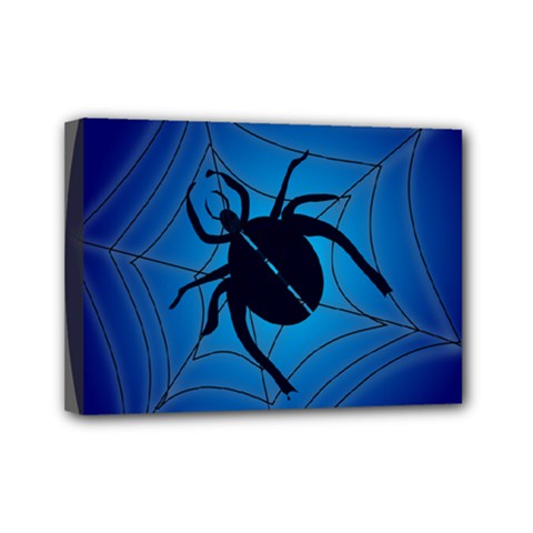 Spider On Web Mini Canvas 7  X 5 