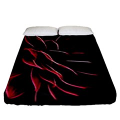 Pattern Design Abstract Background Fitted Sheet (queen Size)