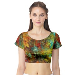 Mixed Abstract Short Sleeve Crop Top (tight Fit)