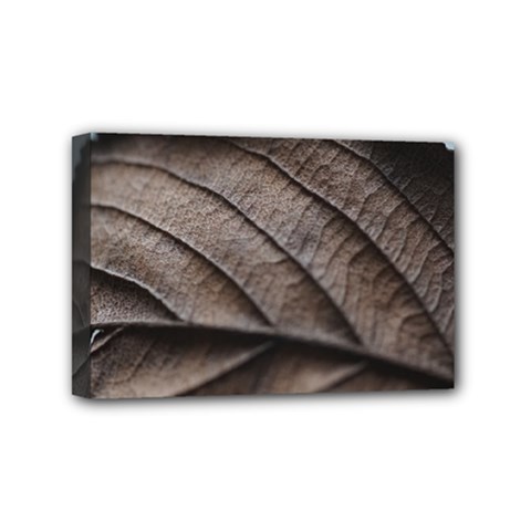 Leaf Veins Nerves Macro Closeup Mini Canvas 6  X 4  by Amaryn4rt