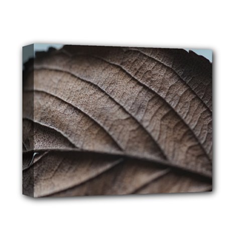 Leaf Veins Nerves Macro Closeup Deluxe Canvas 14  X 11  by Amaryn4rt