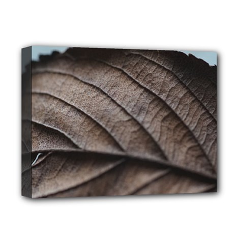 Leaf Veins Nerves Macro Closeup Deluxe Canvas 16  X 12   by Amaryn4rt