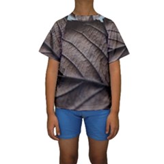 Leaf Veins Nerves Macro Closeup Kids  Short Sleeve Swimwear