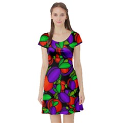 Plums And Peaches Short Sleeve Skater Dress by Valentinaart