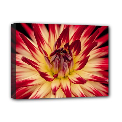 Bloom Blossom Close Up Flora Deluxe Canvas 16  X 12   by Amaryn4rt