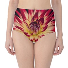 Bloom Blossom Close Up Flora High-waist Bikini Bottoms by Amaryn4rt