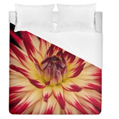 Bloom Blossom Close Up Flora Duvet Cover (queen Size)