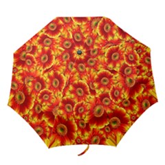 Gerbera Flowers Blossom Bloom Folding Umbrellas by Amaryn4rt