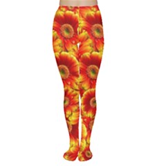 Gerbera Flowers Blossom Bloom Women s Tights by Amaryn4rt