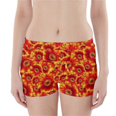 Gerbera Flowers Blossom Bloom Boyleg Bikini Wrap Bottoms