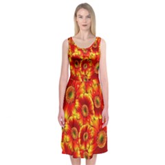 Gerbera Flowers Blossom Bloom Midi Sleeveless Dress