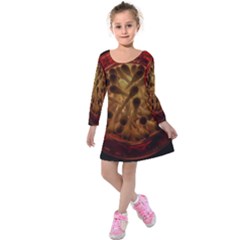 Light Picture Cotton Buds Kids  Long Sleeve Velvet Dress