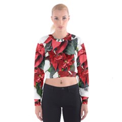 Star Of Bethlehem Star Red Women s Cropped Sweatshirt by Amaryn4rt