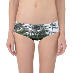 Bamboo Plant Wellness Digital Art Classic Bikini Bottoms by Amaryn4rt