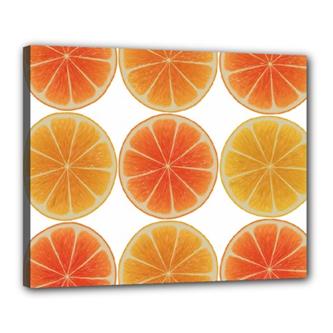 Orange Discs Orange Slices Fruit Canvas 20  X 16  by Amaryn4rt