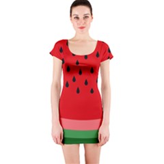 Watermelon  Short Sleeve Bodycon Dress by Valentinaart