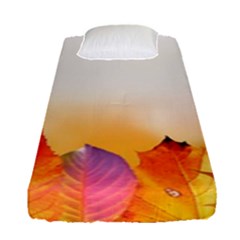 Autumn Leaves Colorful Fall Foliage Fitted Sheet (single Size)