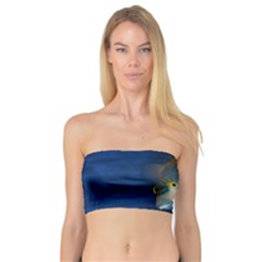 Fish Blue Animal Water Nature Bandeau Top by Amaryn4rt