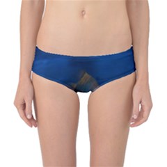 Fish Blue Animal Water Nature Classic Bikini Bottoms by Amaryn4rt