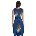 Fish Blue Animal Water Nature Sleeveless Chiffon Dress   View2