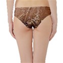 Ice Iced Structure Frozen Frost Hipster Bikini Bottoms View2