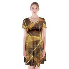 Leaves Autumn Texture Brown Short Sleeve V-neck Flare Dress by Amaryn4rt