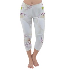 Orchids Flowers White Background Capri Winter Leggings  by Amaryn4rt