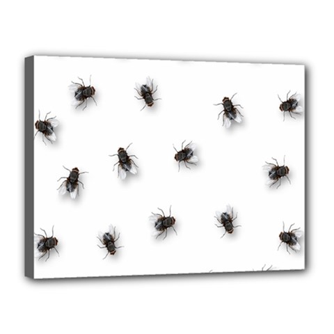 Flies Canvas 16  X 12 