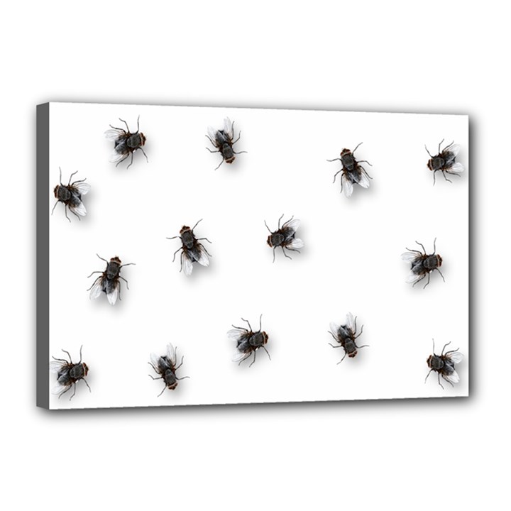 Flies Canvas 18  x 12 