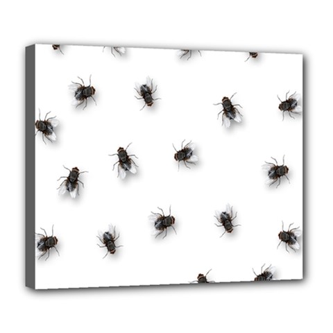 Flies Deluxe Canvas 24  X 20  