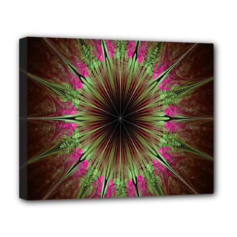 Julian Star Star Fun Green Violet Deluxe Canvas 20  X 16  